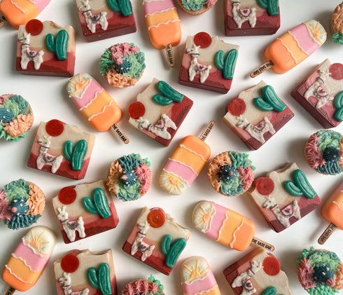 The Sass Bar Llama Desert Box